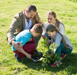 Family Volunteering